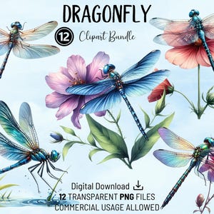 Libel clipartbundel, libellen png, hoge kwaliteit png's, afdrukbare aquarel clipart, digitale download, ambachten