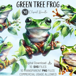 Aquarel groene boomkikker clipartbundel - PNG- en SVG-bestanden voor commercieel gebruik - scrapbooking, knutselen, uitnodigingen, POD