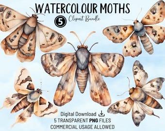 蛾の水彩画クリップアート デジタルダウンロード リアルな虫 昆虫 ルナ