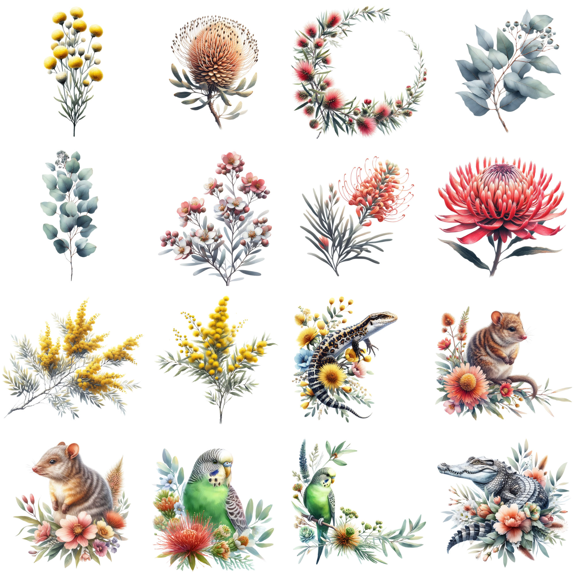 Australiana Clipart Bundle Native Australian Plants and Animals Instant ...