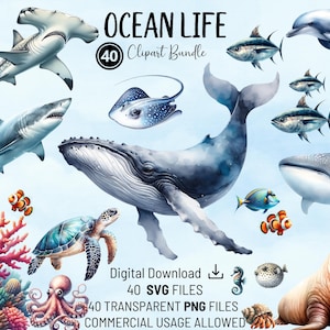 Ocean Life clipartbundel, Under the Sea, Sea Life PNG en SVG voor kaarten, uitnodigingen, digitaal ontwerp en knutselen, commercieel gebruik