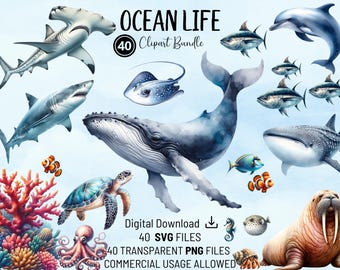 Pacote de clipart da vida oceânica: animais marinhos PNG e SVG (uso comercial)
