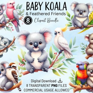 Pacchetto Clipart Baby Koala & Feathered Friends, Animali australiani per l'asilo nido, PNG di alta qualità, Clipart acquerello stampabile, Download digitale