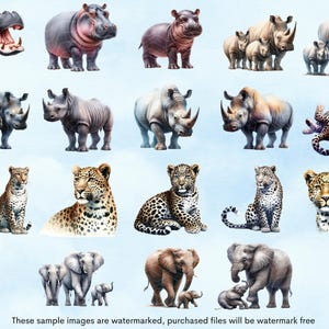 May include: A digital illustration of various animals from the African savanna, including hippos, rhinos, leopards, and elephants. The animals are depicted in a realistic style with detailed features and vibrant colors.