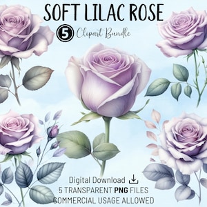 Bundle de cliparts roses lilas doux, aquarelle à usage commercial PNG transparents, pour travaux manuels, cartes, pages de scrapbooking, faire-part de mariage, POD