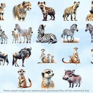 May include: A digital illustration of various animals, including a cheetah, hyena, zebra, wildebeest, and meerkat. The animals are depicted in a cartoon style with bright colors and detailed features.