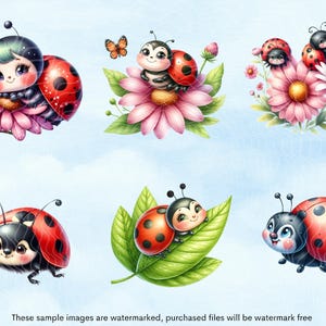May include: A set of digital illustrations featuring cute cartoon ladybugs with black spots and red shells. Some ladybugs are on flowers, while others are on leaves. The illustrations are perfect for adding a touch of whimsy to any project.