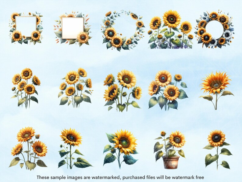 Sunflower Clipart Bundle: 40 PNG & SVG Files (digital Download) - Etsy