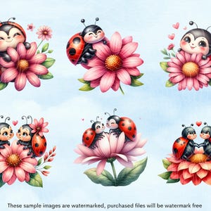 May include: Six illustrations of ladybugs with red and black bodies and black spots. The ladybugs are on pink flowers with green leaves. Some of the ladybugs are in pairs and some are alone. The ladybugs have black eyes and smiling faces.