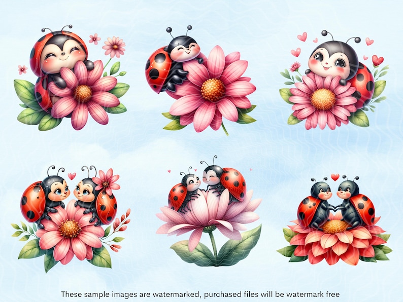May include: Six illustrations of ladybugs with red and black bodies and black spots. The ladybugs are on pink flowers with green leaves. Some of the ladybugs are in pairs and some are alone. The ladybugs have black eyes and smiling faces.