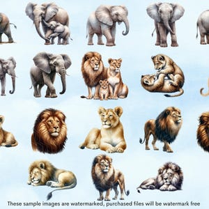 May include: A digital collage of various animals, including elephants and lions, in different poses. The animals are depicted in a watercolor style, with soft, muted colors.