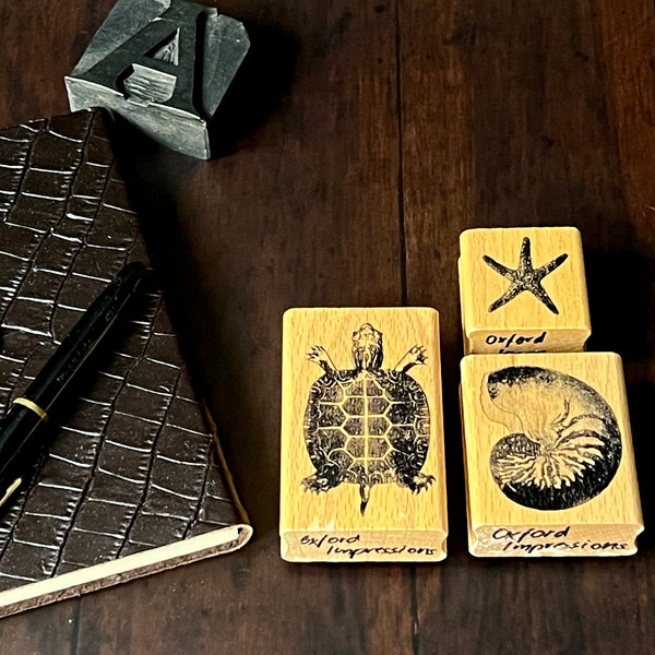 3 Holzstempel Set für Kartenbasteln, Journals: Meerestiere Nautilus, Seestern, Schildkröte