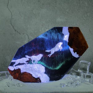 Diorama anime Epoxy resin lamp, Epoxy Night Light Gift, resin epoxy lamp, Kids gift, Game gift for him, Birthday gift for him, Mononoko hime