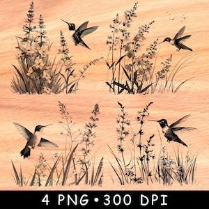 Kolibrie Gras Bloemen Natuur Planten Wildlife Vliegen Kunst Laserbestand Branden Grijstinten leisteen Onderzetter zwart wit PNG-afbeelding graveren CNC hout