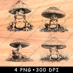 Grenouille, champignon, herbe, champignons, faune sauvage, champignon vénéneux