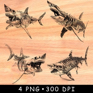 May include: Four digital images of a shark skeleton on a wood grain background. The shark skeletons are in different poses, with some facing the viewer and others facing away. The images are high resolution and would be suitable for use in a variety of projects.