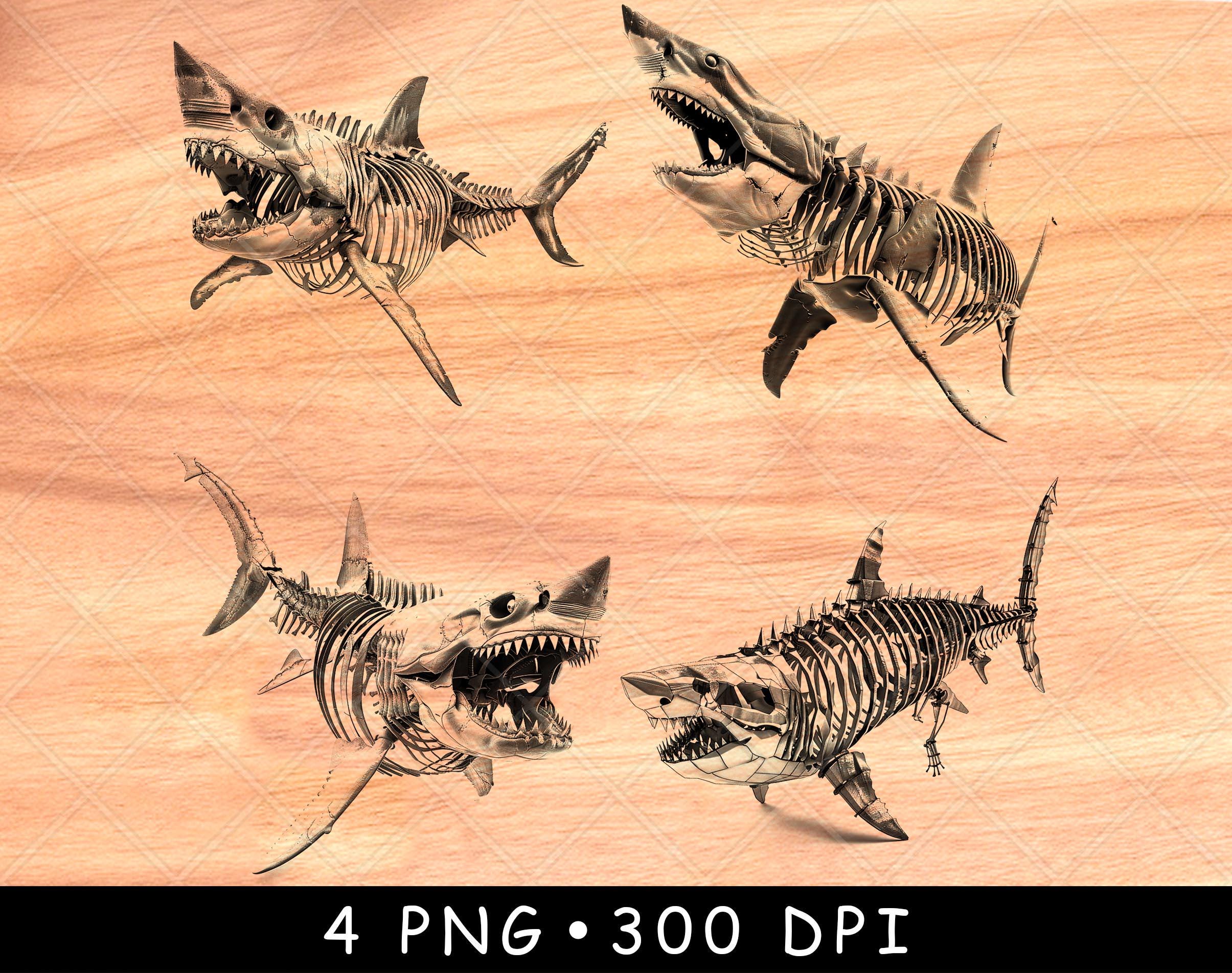 シャーク マウス スカル オブジェ Replica Shark Jaw Wall Sculpture