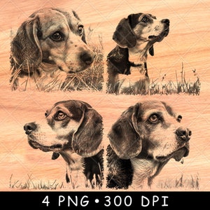 Retrato de perro beagle con orejas caídas, mascota amigable y leal, cachorro, archivo láser, escala de grises, posavasos de pizarra, imagen PNG en blanco y negro, grabado en madera CNC