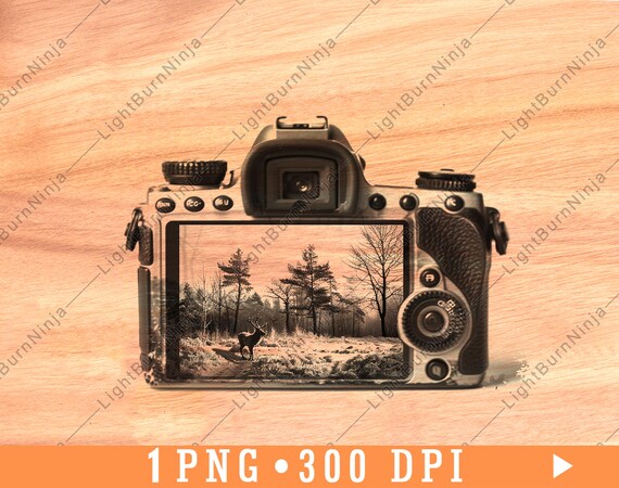 Vintage DSLR Camera Outdoor Scene Forest Trees Wildlife Photo
