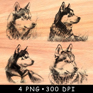 Siberian Husky Portrait Hund Arctic Breed Togo Art Laser-Datei Brennen Graustufen Schiefer Untersetzer Schwarz Weiß PNG Bild Gravieren Cnc Holz