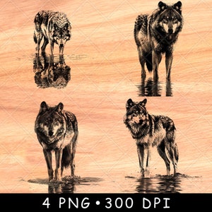 Wolf op watertop roofdierjager wilde grijze hond dieren in het wild laserbestand branden grijstinten leisteen onderzetter zwart wit PNG-afbeelding graveren CNC hout