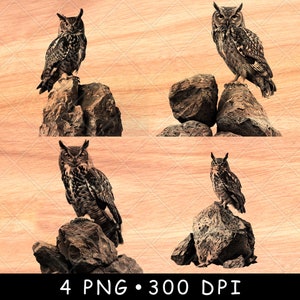 Uil Boulder Nachtelijk Roofvogel Gehoornd Veren Stille vlieg Laserbestand branden grijstinten leisteen onderzetter zwart wit PNG-afbeelding graveren CNC hout