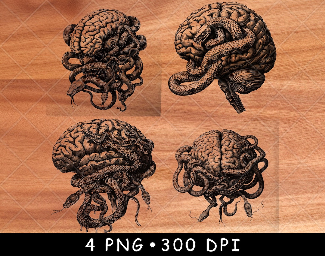 Human Brain Snakes Venom Wild Serpent Medusa Myth Mind Mental Laser ...