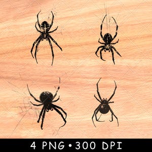 Schwarze Witwe Spinnennetz Gruselige Krabbler Beine Dunkel Insekt Wild Natur Laser File Brennen Graustufen Schiefer Untersetzer Weiß PNG Bild Gravieren Cnc Holz