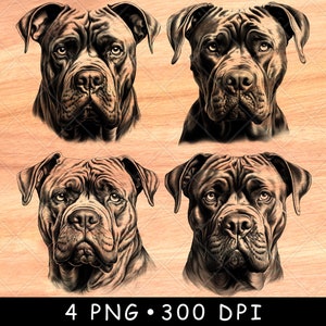 Cane Corso Kopf Italienischer Mastiff Korsika Wachhund Familie Haustier Laserdatei Brennen Graustufen Schiefer Untersetzer Schwarz Weiß PNG Bild Gravieren Cnc Holz