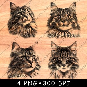 Visage de chat duveteux félin à poil long portrait en fourrure douce pour animaux de compagnie Art fichier laser graver en niveaux de gris ardoise sous-bock noir blanc Image PNG graver sur bois