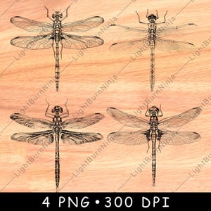 Detailed Dragonfly PNG | Insect Laser Engraving File | Realistic Nature Bug Design for Wood Signs, Coasters & Botanical Decor