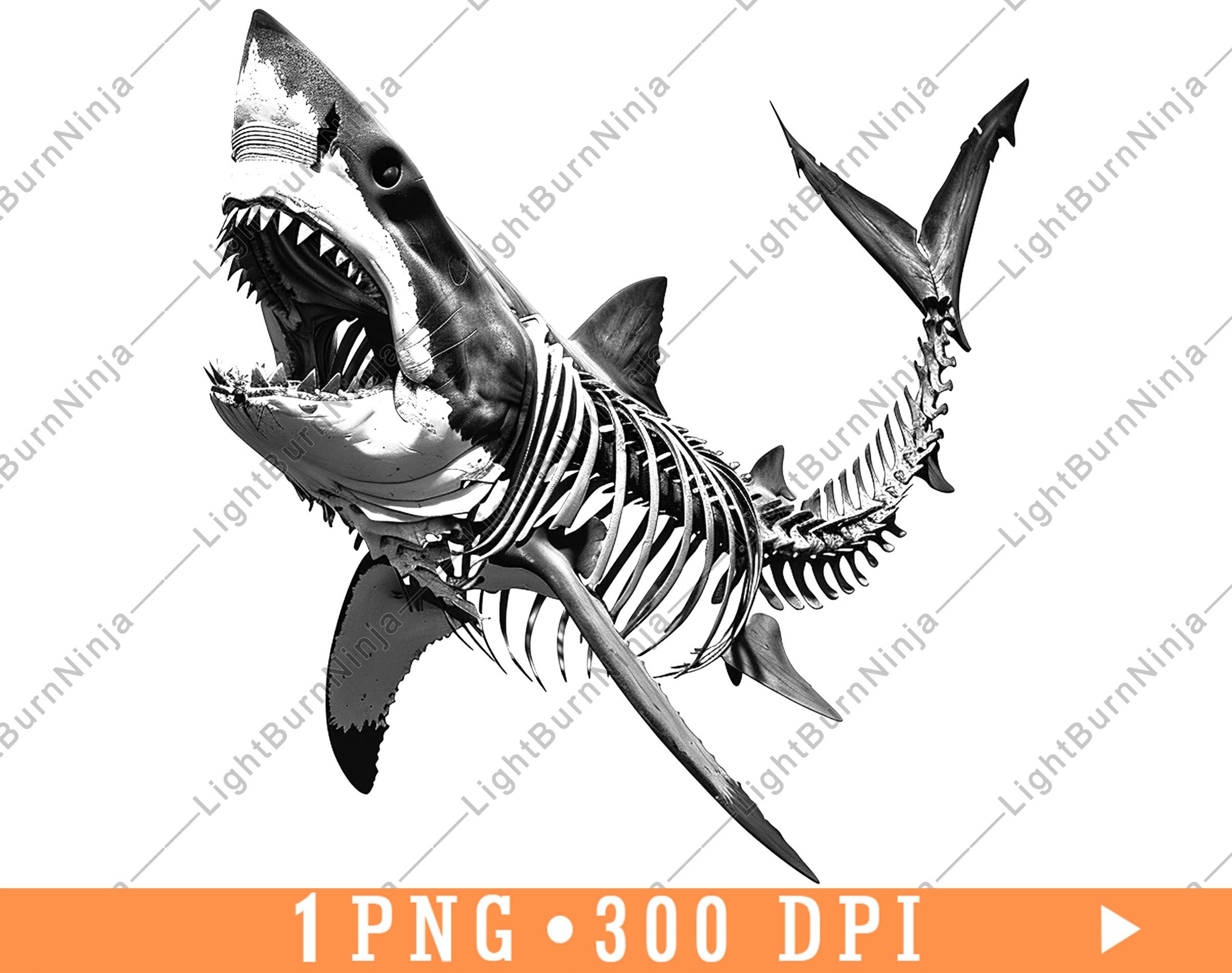 White Shark Skeleton Ocean Predator Engraving Design Nautical Wall