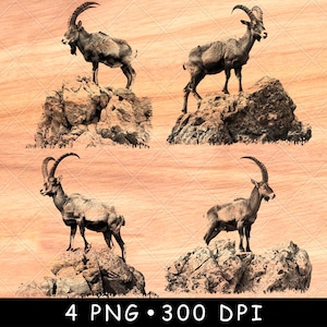 Steenbok Alpen Wilde berggeit klimmer Steinbock Wildlife Capra Laserbestand branden grijstinten leisteen onderzetter zwart wit PNG-afbeelding graveren CNC hout