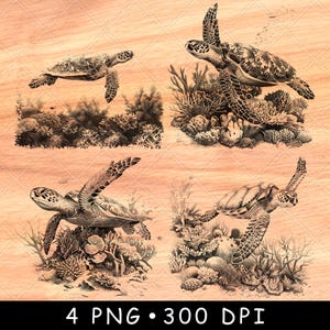Tortuga verde, tortuga carey, océano, isla submarina, corales, arte, archivo láser, escala de grises, posavasos de pizarra, imagen PNG en blanco y negro, grabado CNC, madera