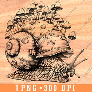 Lumaca Fungo Cluster Foresta Scena Mollusco Funghi Lento Guscio File Laser Brucia Scala di Grigi Ardesia Sottobicchiere Nero Bianco Immagine PNG Incisione Cnc Legno