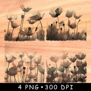 Coquelicot fleurs plante floral coloré champ de floraison scène nature fichier laser gravure en niveaux de gris ardoise sous-bock noir blanc image PNG gravure CNC bois