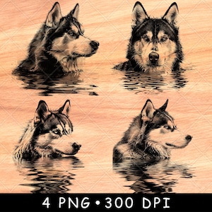 Siberische husky Waterscène Sneeuw Sledehond Huisdier Togo Dieren in het wild Laserbestand Branden Grijstinten leisteen onderzetter zwart wit PNG-afbeelding graveren CNC hout