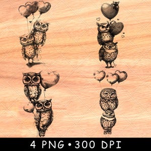 Búhos, forma de corazón, globos, familia, vida silvestre, noche, pájaro, naturaleza, archivo láser, quemar, escala de grises, posavasos, negro, blanco, imagen PNG, grabar, CNC, madera