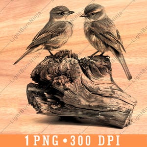 Paire d'oiseaux chanteurs sur une bûche, faune, nature, forêt, aviaire, fichier laser, gravure en niveaux de gris, ardoise, dessous de verre, noir et blanc, image PNG, gravure sur bois, un