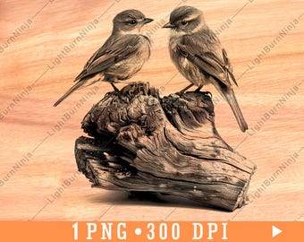 Dwa ptaki na kłodzie drewna w formacie PNG do grawerowania laserowego | Rustykalny ptak w formie clipartu do drewnianych tabliczek, podstawek, dekoracji ściennych w stylu rustykalnym i prezentów