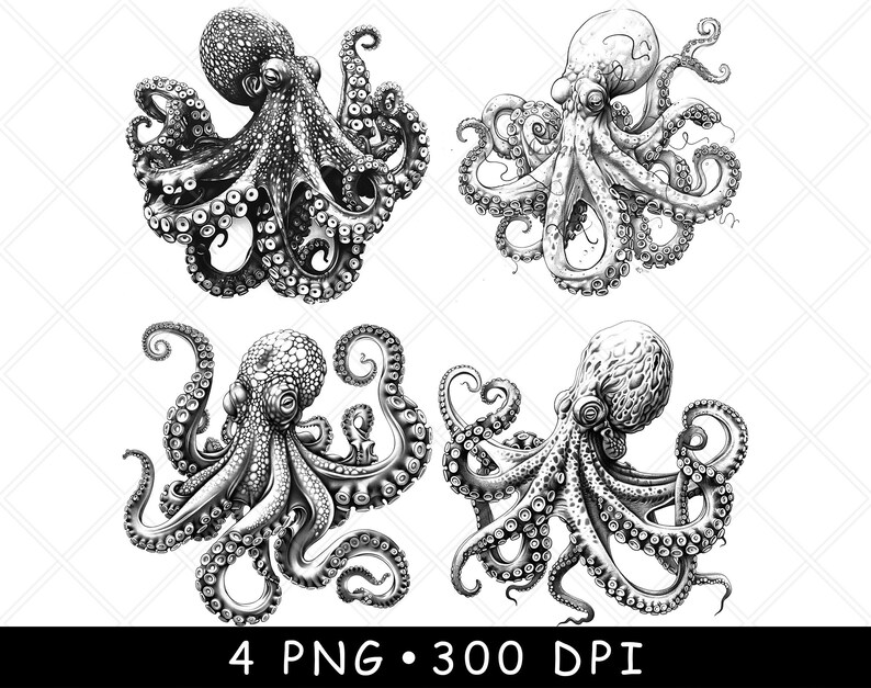 May include: Four black and white illustrations of octopuses with tentacles curled in different positions. The illustrations are drawn in a detailed and realistic style.