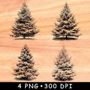 Decorazione per albero di Natale, pigne sempreverdi, conifere, file laser, masterizzazione in scala di grigi, sottobicchiere in ardesia, immagine PNG in bianco e nero, incisa su legno, uno