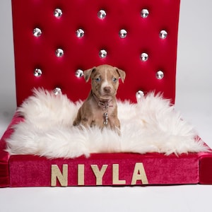 May include: A brown and white puppy dog sits on a red velvet dog bed with a white fur insert. The bed has a diamond pattern and the words "NIYLA" are printed on the front.