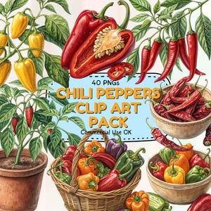 Chili Pepper Clipart Bundle: Spicy PNG Illustrations (Digital Download