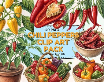 ヴィンテージスタイルの青唐辛子のイラスト、手描きの農産物（eps、svg