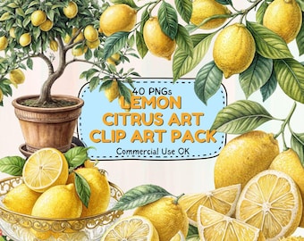 Lemon PNG Clipart Bundle, Citrus Watercolor Fruit Graphics for Stickers Sublimation Scrapbooking Planner Printable Designs