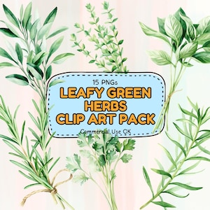 Herb Clipart Set: Hand-Drawn Botanical Illustrations (PNG Download)