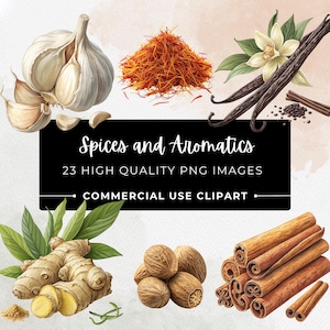 Puede incluir: Ilustración en acuarela de varias especias y aromáticos, incluyendo ajo, azafrán, vainas de vainilla, palitos de canela, jengibre y nuez moscada. La imagen incluye el texto "Spices and Aromatics" y "23 HIGH QUALITY PNG IMAGES COMMERCIAL USE CLIPART".