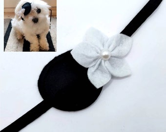 Eye patch for dog with flower