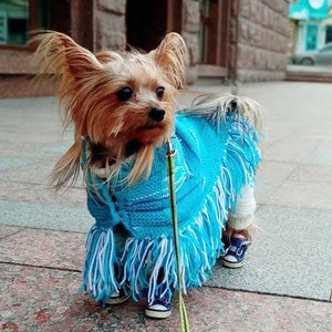 Poncho for dog - baja dog poncho / Mexican xxs dog clothes - x-large dog clothes / Dog sweater for small dog - dog sweater for large dog